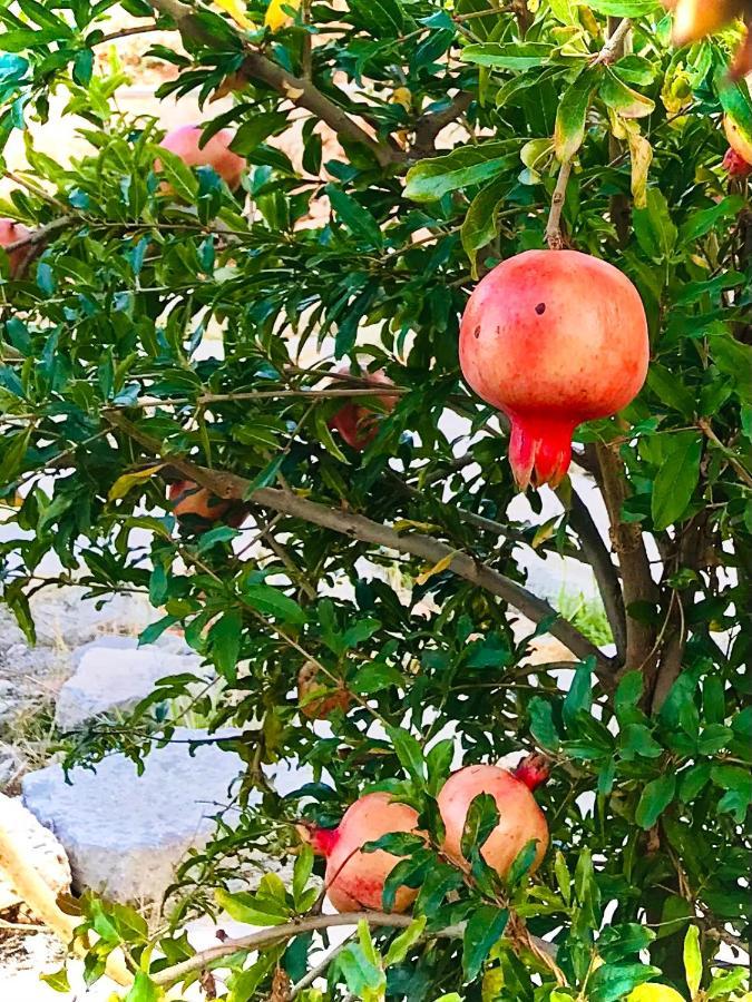 Al Tempio Della Pace Ξενοδοχείο Carini Εξωτερικό φωτογραφία